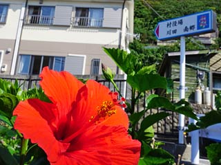 御蔵島村の風景